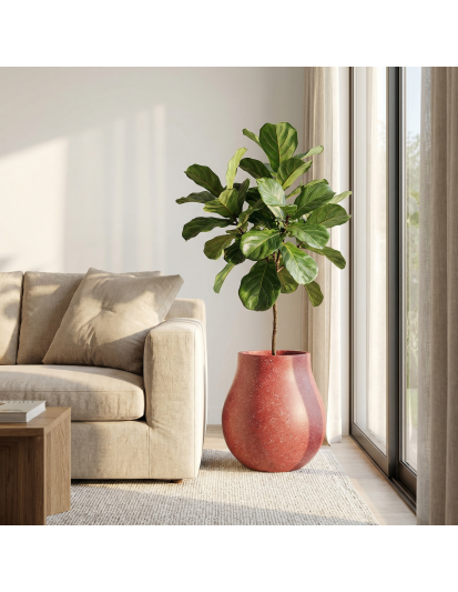 VAAS Hafif Beton Saksı VAAS Hafif Beton Saksı